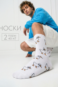 Носки мужские Гуси (набор 2 пары)