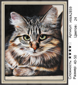 HWA 2859 Под заказ Опт + Розница