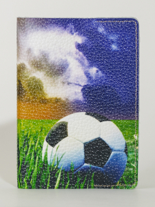 Обложка для паспорта VITA2