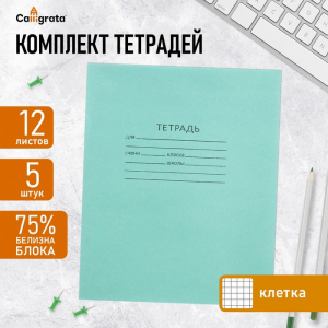 Комплект тетрадей из 5 штук, 12 листов в клетку КПК 
