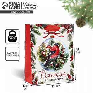 Пакет подарочный новогодний ламинированный «Счастья в Новом году», S 12?15?5.5 см