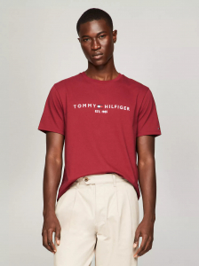 Embroidered Tommy Logo T-Shirt