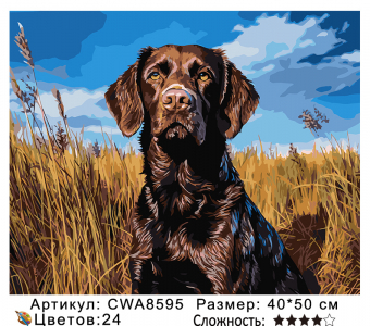 CWA8595 Под заказ