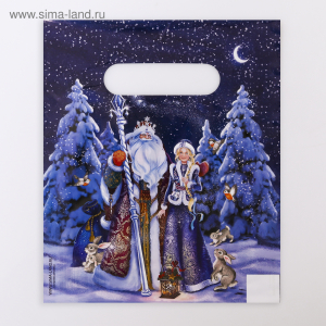 Пакет «Холодок», полиэтиленовый с вырубной ручкой, 17 х 20 см, 30 мкм