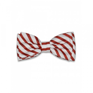 Бабочка Tsarevich 57