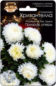 Астра китайская Хризантелла Призрак оперы