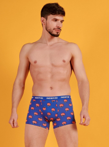 Боксеры из хлопка с принтом и логотипом (Арт. 2135MUF)