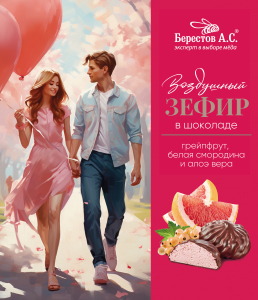 Зефир в шоколаде с Грейпфрутом, белой смородиной и алоэ, 155г (10шт/кор)