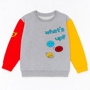 Толстовка футер 2х нитка начёс 1689310101