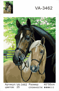 VA3462 Без подрамника картина по номерам 40*50