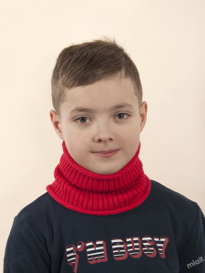 Шарф-труба Зодиак