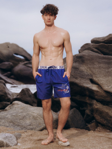 Пляжные шорты Indefini (Арт.5046YMS)