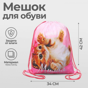 Мешок для обуви «Самая милая» (мягкий полиэстер, плотность 210D) 42?34 см