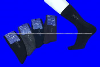 LIMAX носки мужские внутри махра арт. 6060 (683,65100)