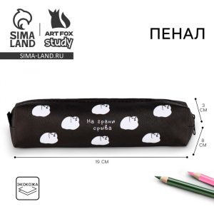 Пенал школьный из искусственной кожи «На грани срыва» , 19?8?3 см