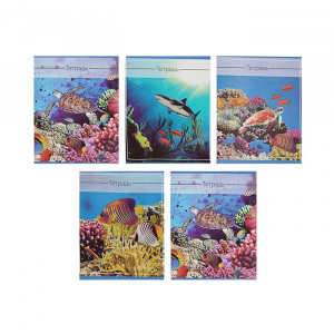 Тетрадь 36 листов в клетку, Calligrata «Океан», МИКС