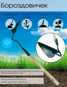 Бороздовичек малый