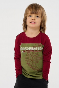 лонгслив для мальчика М 048-24 -50%
