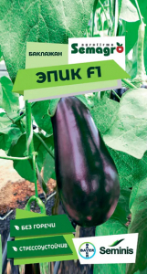 8042N Баклажан Эпик F1 10шт