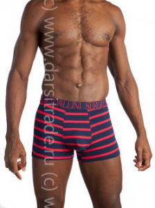 SG2929-2 Трусы мужские Дроп Sergio Dallini боксеры