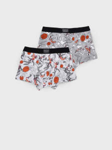Трусы-боксеры для мальчика, 2 шт в комплекте