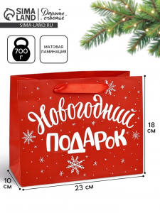 Пакет подарочный ламинированный «Новогодний подарок», MS 23?18?10 см