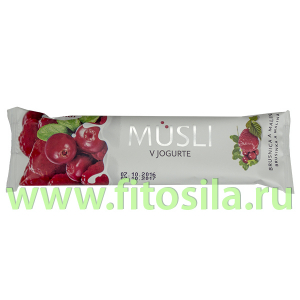 Мюсли батончик в йогурте МАЛИНА-БРУСНИКА, 30 г