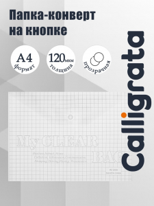 Папка-конверт на кнопке, А4, 120 мкм, Calligrata «Клетка», прозрачный, бесцветный