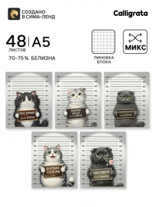 Тетрадь 48 листов в клетку Calligrata «Коты хулиганы», блок №2, серые листы, обложка МИКС