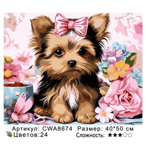 CWA8674 Под заказ