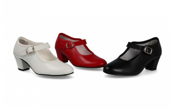 15 - PASOS DE BAILE
                ZAPATO BAILE NINA