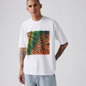 Levi's® Skateboarding Graphic Boxy T-shirt