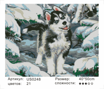 US0248 Без подрамника мозаика 40*50