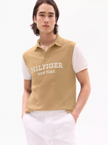 Regular Fit Monotype Colorblock Polo