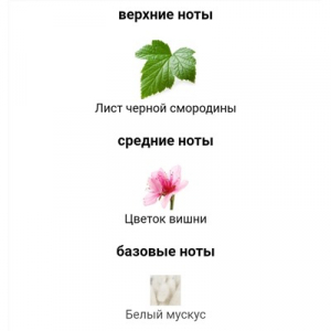 FLORAIKU I SEE THE CLOUDS GO BY edp 50ml+10ml