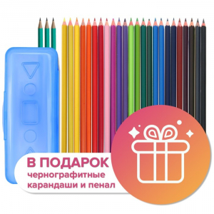 Карандаши Calligrata, цветные, 24 цвета, эконом, шестигранные, пластиковые, пенал-футляр и 3 чернографитных карандаша с ластиком в ПОДАРОК, МИКС
