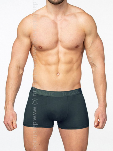 TS7801-3 Трусы мужские Дроп Tousite боксеры