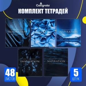 Тетради 5 штук, 48 листов в клетку Calligrata «Вдохновение», обложка мелованный картон, блок офсет