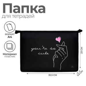 Папка для тетрадей А4, 325 х 230 х 55 мм, молния сверху, пластиковая, ПМ-А4-29 Calligrata 