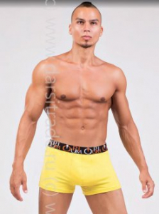 Трусы мужские R117 Opium боксеры Дроп
