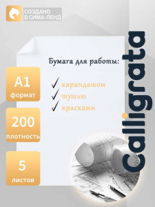 Набор ватманов чертёжных А1, 200 г/м?, 5 листов