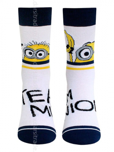 Носки женские 21С4204 047 Брестские Minions Conte [6 шт] Дроп х/б