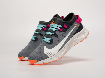Кроссовки Nike Pegasus Trail 2