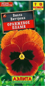 Виола Оранжевое Пламя Аэлита