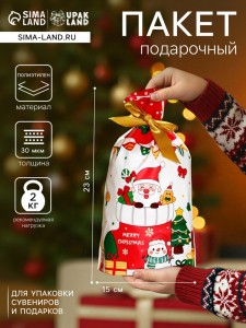 Пакет полиэтиленовый подарочный, с завязками «Новогодний носок», 15?23 см