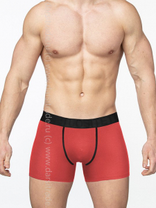 TS7821-3 Трусы мужские Дроп Tousite боксеры