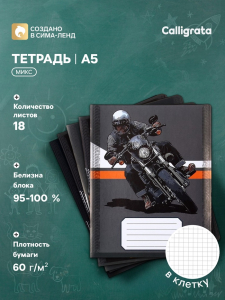 Тетрадь 18 листов в клетку Calligrata Racing, обложка мелованная бумага, ВД-лак, блок офсет, белизна 95%, МИКС