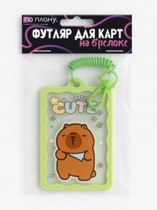 Футляр для карт с брелоком ПО ПЛАНУ. 