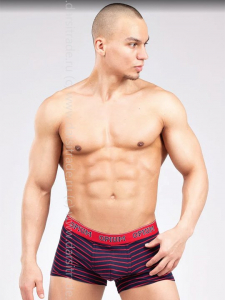 Трусы мужские R123 Opium боксеры