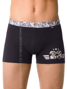 Трусы мужские MSH862 Tattoo Shorts DiWaRi Дроп [вешалка] боксеры